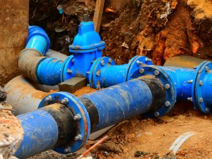 Read more about the article What Are the Warning Signs of a Sewer Line Problem?